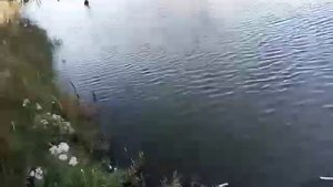 Озеро заимка,  Кемерово