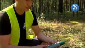 Как не потеряться в лесу