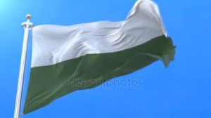 Флаг Сибири. #ФлагСибириБелоЗелёный