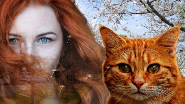 Нестандартное поведение кота заставило их выйти на улицу ловить его. А потом произошло ужасное