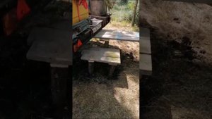 кочёвка на акацию 2022