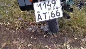 Путешествие на мотоцикле патрон индиго 150 ч3
