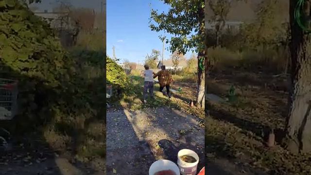 А какой сегодня день? | прикол
