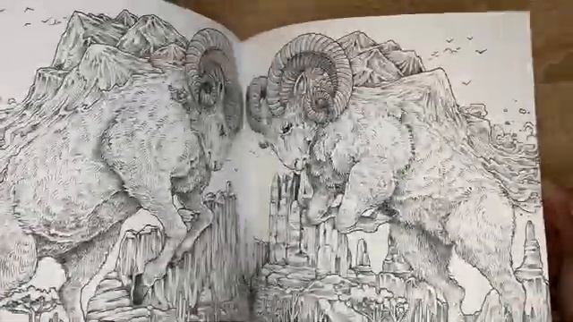 Творческие покупки в августе 2021/эксперимент с акварелью/новая раскраска/ХОББИ ВЛОГ смотреть онлайн