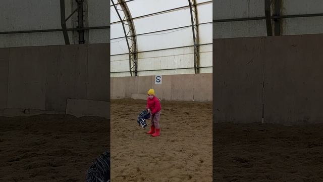 Хоббихорсинг это полезно и познавательно