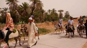 Катание на ослах в Тиуде