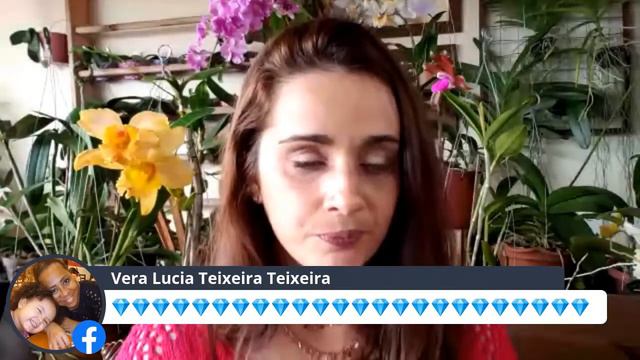 Dúvidas sobre Cultivo de Orquídeas? | Vanessa Responde 💎🌸 смотреть онлайн