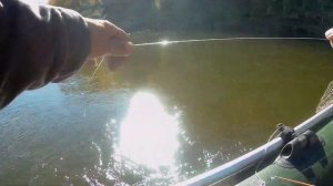 Рыбалка на Вятке и не только...