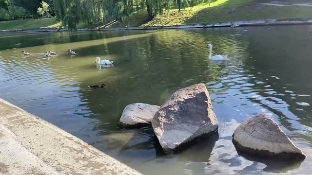 ВОШЁЛ ЗА ЖЕНОЙ СЛЕДОМ В ДУШ, И ОБОМЛЕЛ. Поучительные аудио рассказы о любви и жизненные истории.