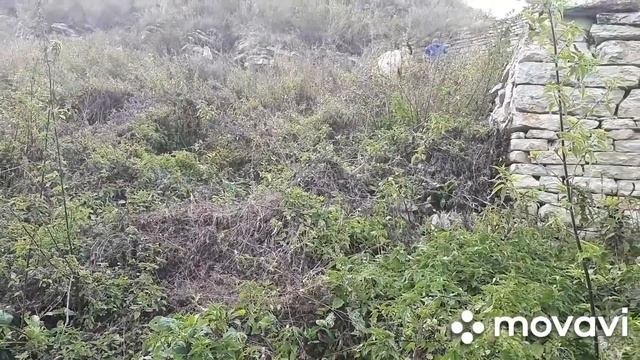 НОЕВ КОВЧЕГ /ХИНДА Иследования продолжаются/4/ смотреть онлайн