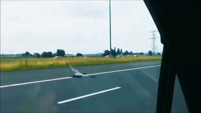 Почтовые голуби. Песня смотреть онлайн