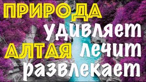 Главная причина ехать на Алтай - ПРИРОДА, которая удивляет, лечит и развлекает