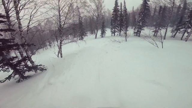 Геш 2023,сектор Б,Восток,лес смотреть онлайн