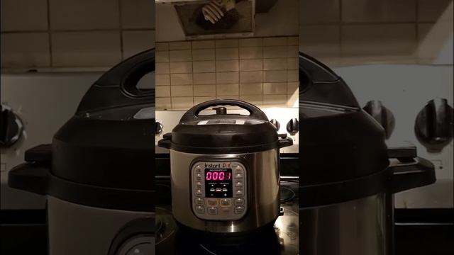 instant pot food