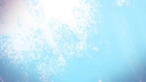 Angry Birds Stella - All Name Characters