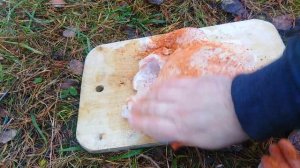 forest kitchen:??Вкуснейшая курица на вертеле с мёдом и специями в походе??