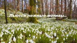 Льются нежные мотивы..