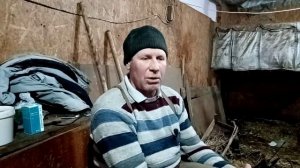 Про запахи в коровнике.