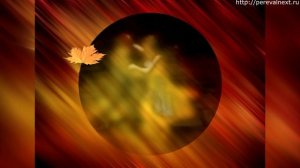 Самая любимая (О.Митяев)