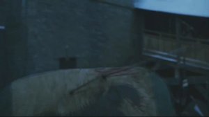 Пожертвовал собой ради других