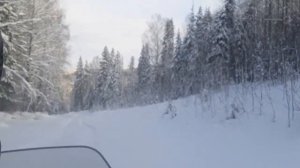 Стелс Витязь "Ищем Волка стреляем зайцев"