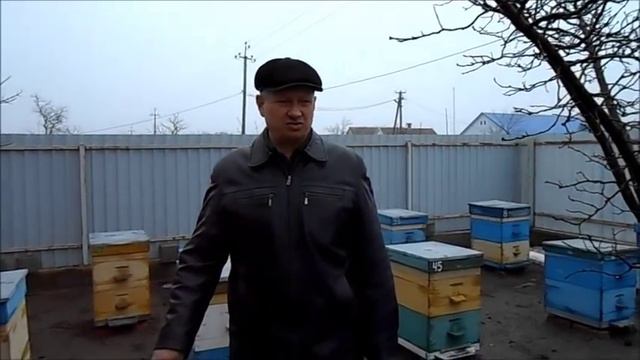 На пасеке 8 марта 2018 г смотреть онлайн