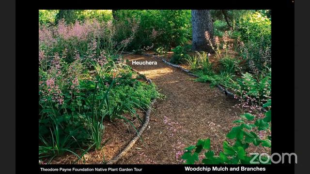 California Native Garden Design Online Workshop смотреть онлайн