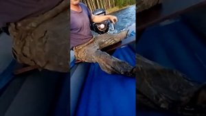 Испытание лодочного мотора с лифан 15л.с