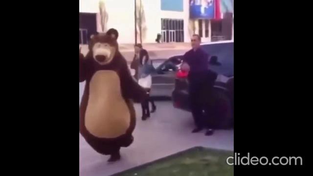 медведь трясет попой под жосткий трэп бит смотреть онлайн