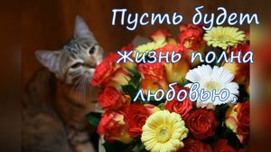 красивое поздравление с 8 марта🌷💖🌷💖🌷beautiful congratulations on March 8!