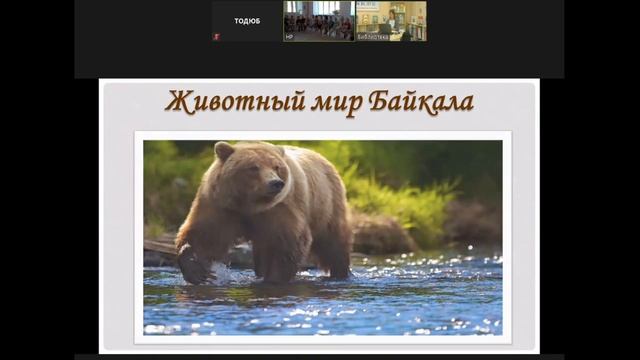 «Байкал – жемчужина России» - познавательно-игровая смотреть онлайн