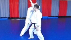 Zenryoku JuJutsu - Uke Waza - technics application