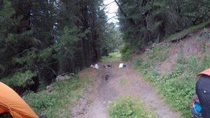 Поход по Горному Алтаю в поисках Снежного человека. Часть 1