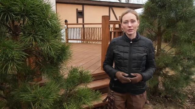 Сборка теплицы. Основные рекомендации и правила смотреть онлайн