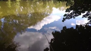 Декоративный пруд Измайлово рыбалка ротан