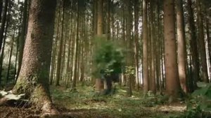 BMW BAYERISCHE MOTOREN WERKE AG - 2010 September - bmw connecteddrive dienste notruf