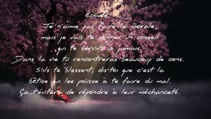 #citation #citations #proverbes #con
