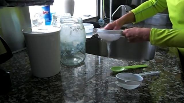 КЕФИРНЫЙ МОЛОЧНЫЙ ГРИБ И УХОД ЗА НИМ (1ч) смотреть онлайн