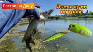 ЛОВЛЯ ЩУКИ ПО ТРАВЕ!!! ЖАРА 45, А ОНА КЛЮЕТ!!!