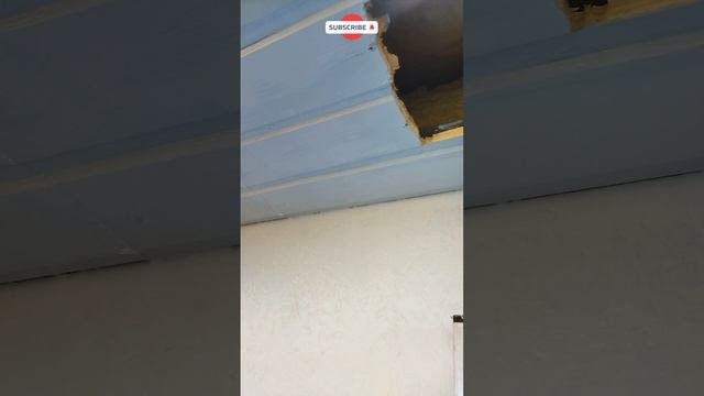 Мастерская мечты 67 день