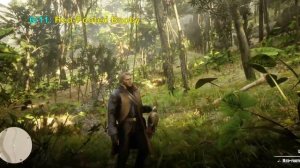 All 11 Guarma Animals in Red Dead Redemption 2 (RDR2): Rare Green Turtle and Locations