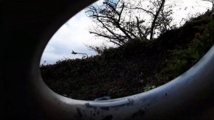 Япония. Интересные достопримечательности Токио: Rappongi hills, Asakusa