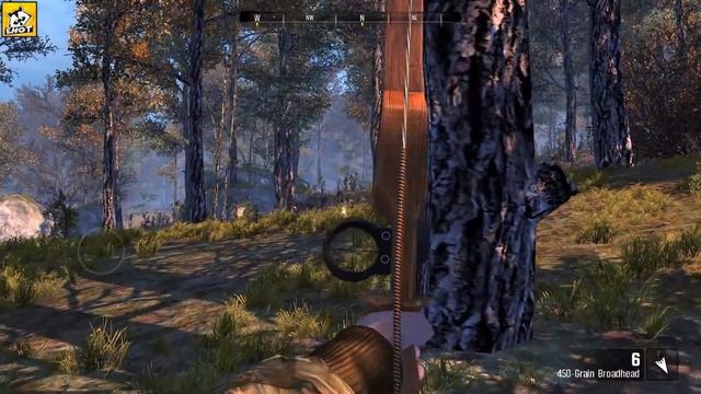 В погоне с луком за лисами! - Cabela's Big Game Hunter: Pro Hunts #5 смотреть онлайн