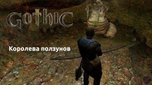 Прохождение Готика 1 | Gothic 1 | Королева ползунов #15