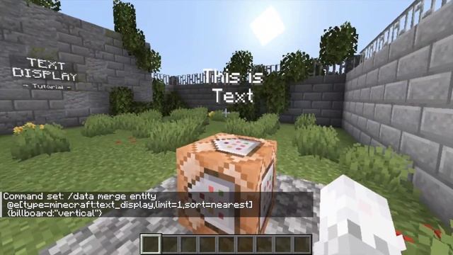Text Display TUTORIAL ✅ | Minecraft