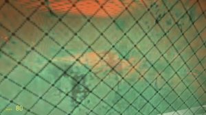 Garis mod (страшная карта но маленькая)