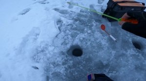 ВОРОНЕЖСКОЕ ВОДОХРАНИЛИЩЕ l ЗИМНЯЯ РЫБАЛКА С ДРУГОМ