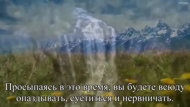 Названо идеальное время утреннего подъема — Статья смотреть онлайн