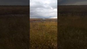 Нива с выхлопом Субару