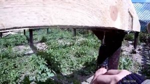 Каркасная баня своими руками. Обвязка